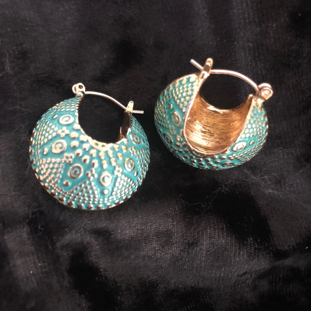 Beautiful  torquers earrings
